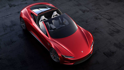 Going Nuts Over Tesla's Roadster