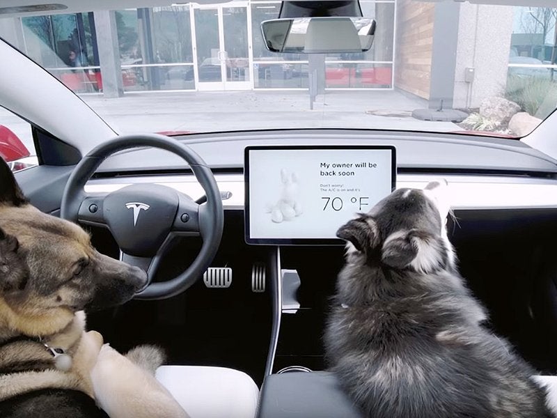 How does Tesla's Dog Mode Work? – TALSEM