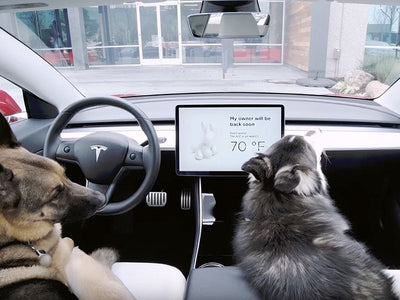 How does Tesla's Dog Mode Work?