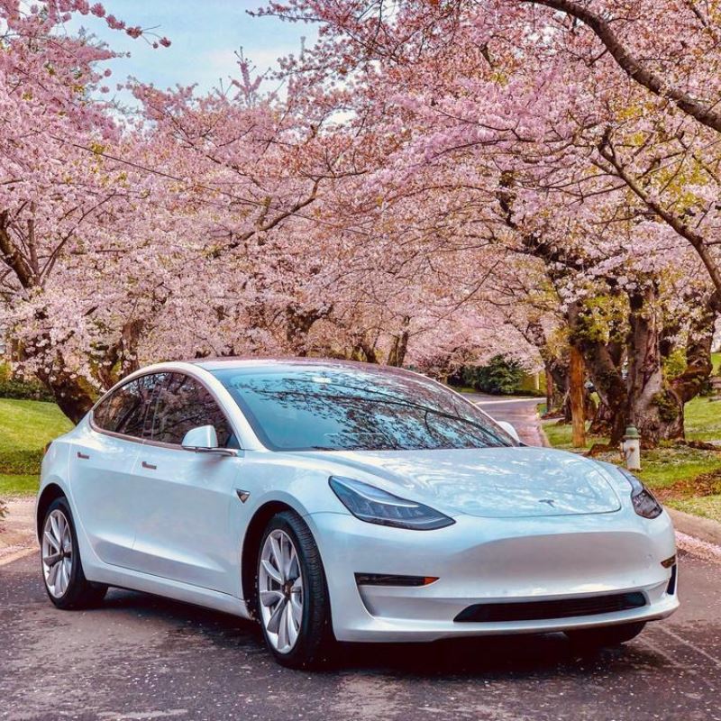Tesla Model 3 Made in Giga Shanghai Wins a Car Quality Survey in China